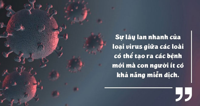 Biến đổi khí hậu đã giải phóng virus bệnh tật từ động vật hoang dã vào con người