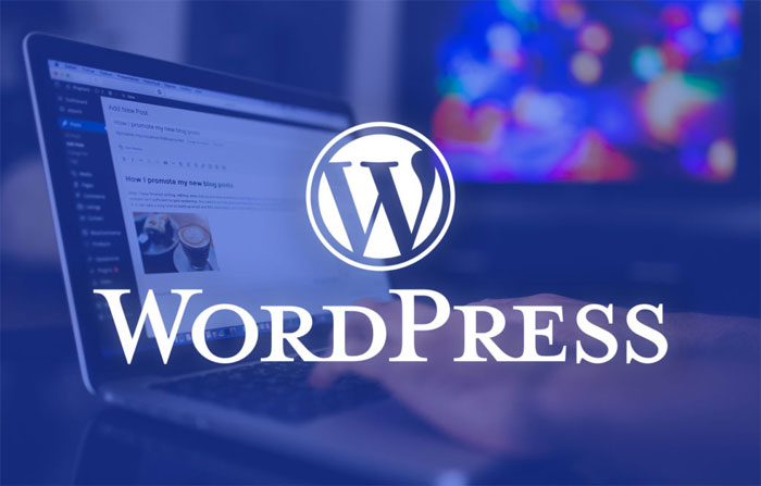 Những cách tăng tốc độ truy cập WordPress hiệu quả nhất