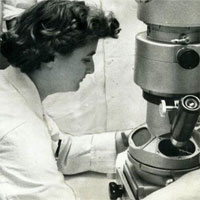 Người phụ nữ phát hiện virus corona đầu tiên trên cơ thể người vào năm 1964