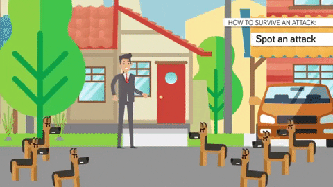 Cách sống sót khi đối mặt với các loài thú dữ