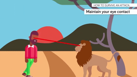 Cách sống sót khi đối mặt với các loài thú dữ