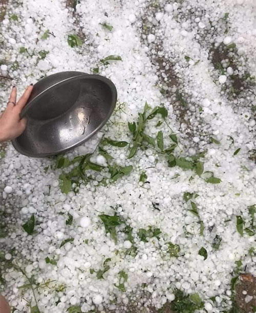 Cận cảnh mưa đá to như quả trứng phá hỏng nhiều nhà ở Nghệ An