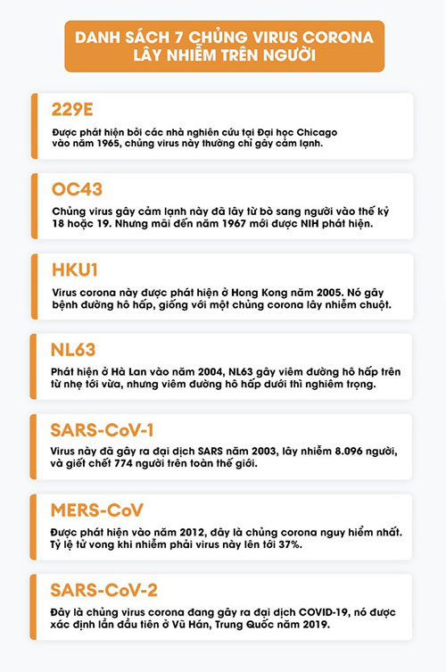Lịch sử bí ẩn của họ virus corona: Từ cơn cảm lạnh thông thường đến những đại dịch toàn cầu