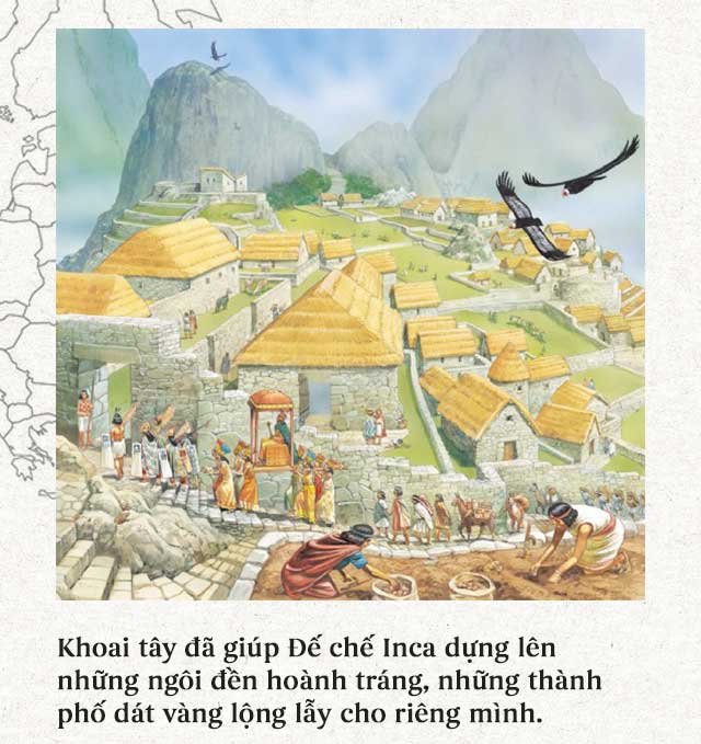 Lịch sử thú vị của khoai tây: “Quả táo quỷ” đem thịnh vượng đến cho những đế quốc