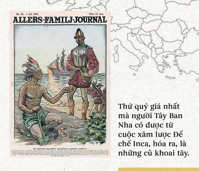 Lịch sử thú vị của khoai tây: “Quả táo quỷ” đem thịnh vượng đến cho những đế quốc