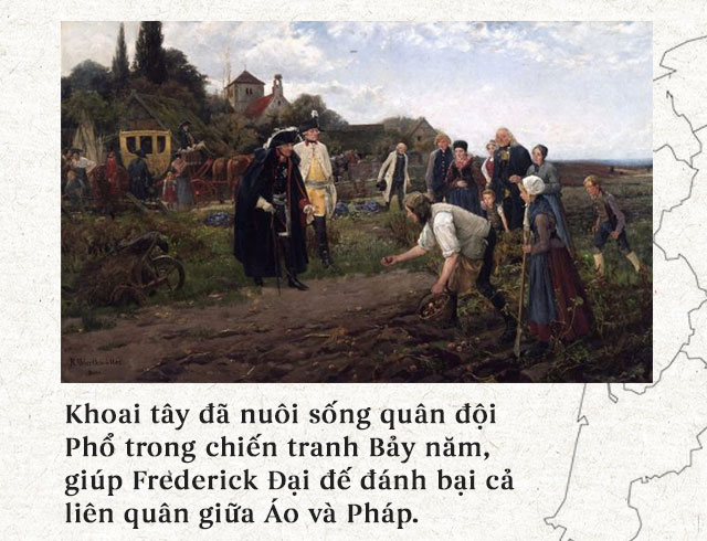 Lịch sử thú vị của khoai tây: “Quả táo quỷ” đem thịnh vượng đến cho những đế quốc