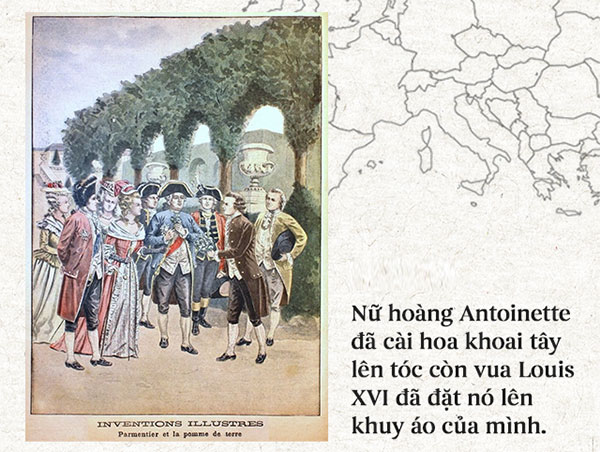 Lịch sử thú vị của khoai tây: “Quả táo quỷ” đem thịnh vượng đến cho những đế quốc