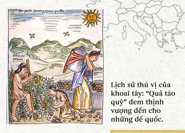 Lịch sử thú vị của khoai tây: “Quả táo quỷ” đem thịnh vượng đến cho những đế quốc