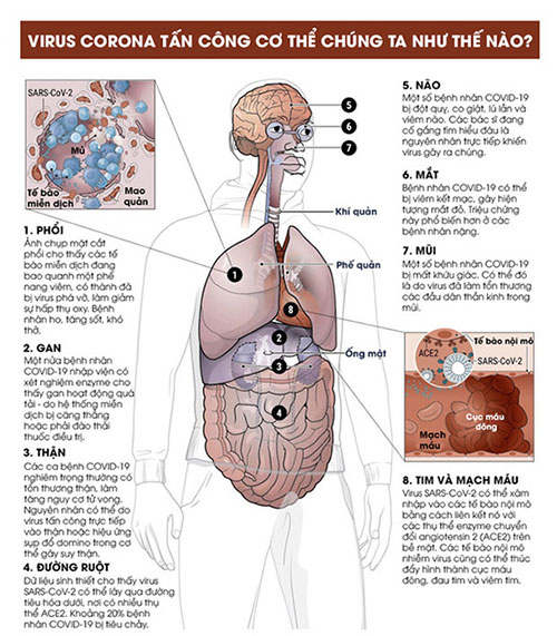Tìm thấy một protein 