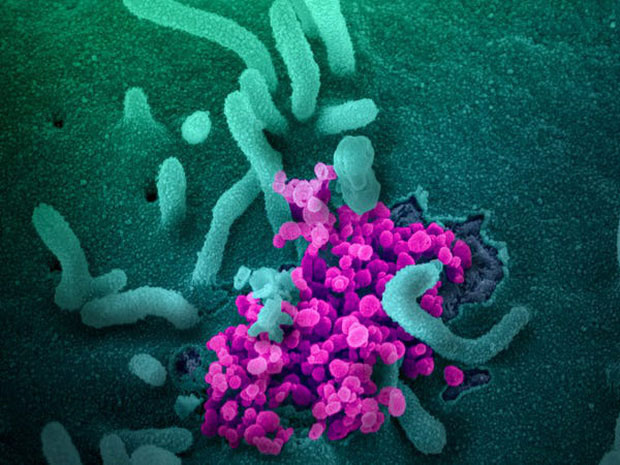Tìm thấy một protein 