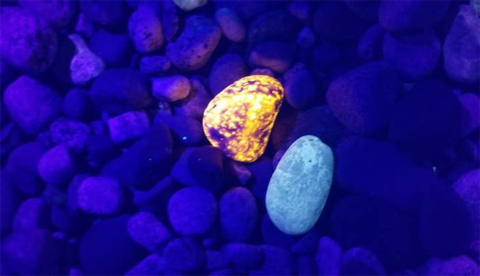 Kiếm tiền nhờ tìm 