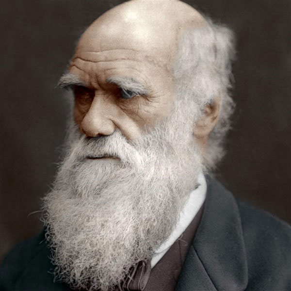 Nhà khoa học Charles Darwin.