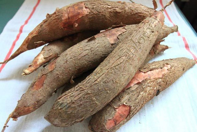 Những chất độc từ thức ăn thực vật