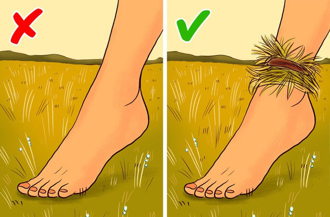 20 kỹ năng sinh tồn cho những người đi rừng bị lạc
