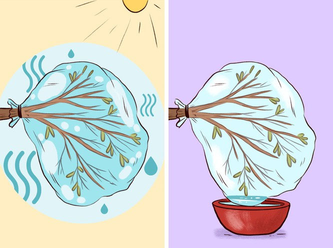 20 kỹ năng sinh tồn cho những người đi rừng bị lạc