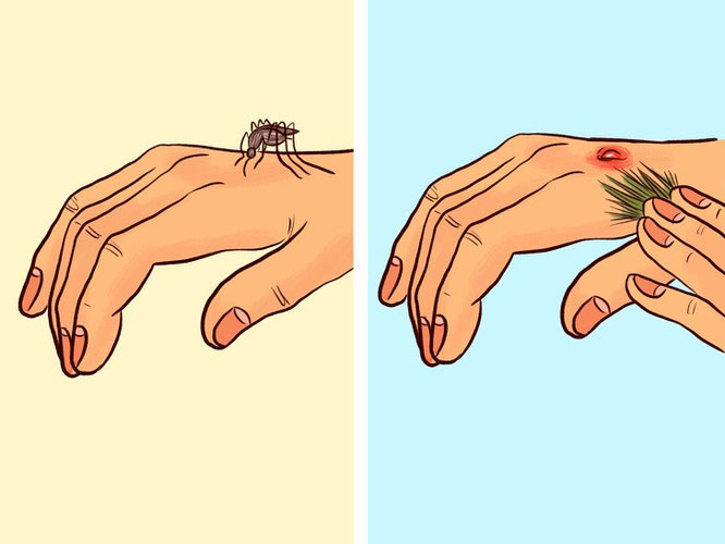20 kỹ năng sinh tồn cho những người đi rừng bị lạc