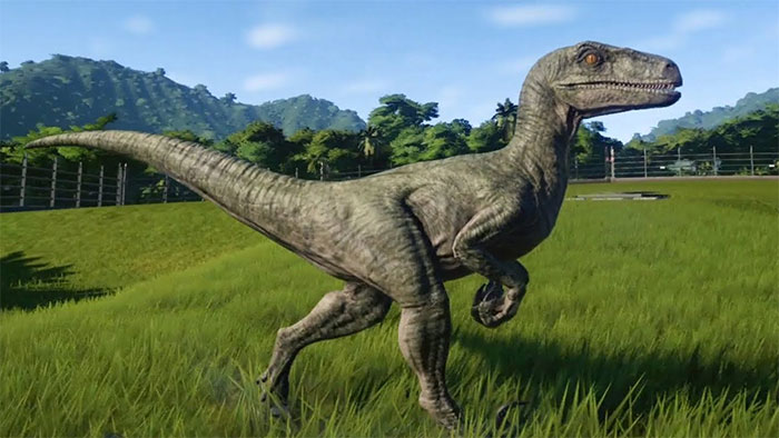 Bộ phim Công viên kỷ Jura đã sai: Khủng long Velociraptor không đi săn theo bầy