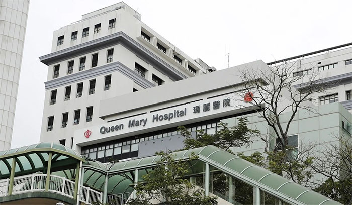 Hàng loạt người Hong Kong nhiễm virus viêm gan một cách bí ẩn từ chuột