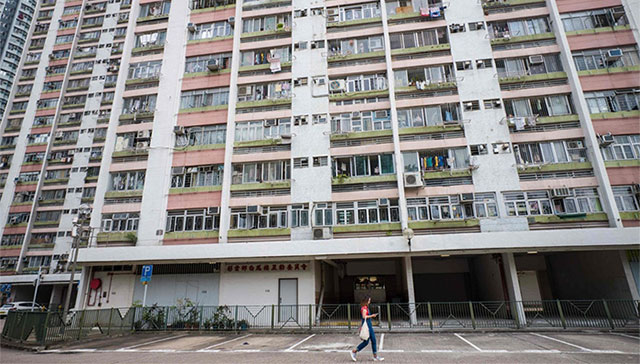 Hàng loạt người Hong Kong nhiễm virus viêm gan một cách bí ẩn từ chuột