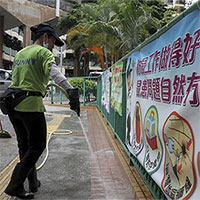 Hàng loạt người Hong Kong nhiễm virus viêm gan một cách bí ẩn từ chuột