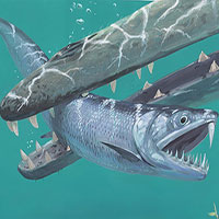 Phát hiện "cá ma cà rồng" có hàm răng kỳ quái