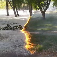 Ngọn lửa bí ẩn xuất hiện trong công viên ở Tây Ban Nha