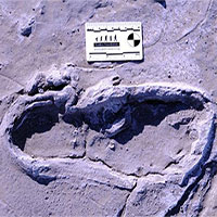 Những dấu chân hóa thạch lớn nhất châu Phi hé lộ cách người xưa đi kiếm ăn