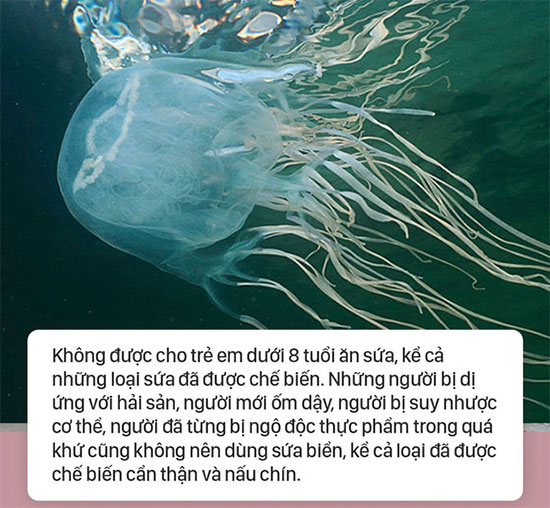 Lưu ý khi ăn sứa biển để tránh bị ngộ độc