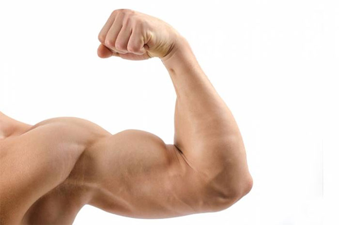Phát hiện ra liệu pháp gene mới giúp giảm mỡ, tăng cơ