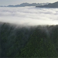 Mây cuồn cuộn “tuôn chảy” từ đỉnh núi cao 3000m như thác chảy