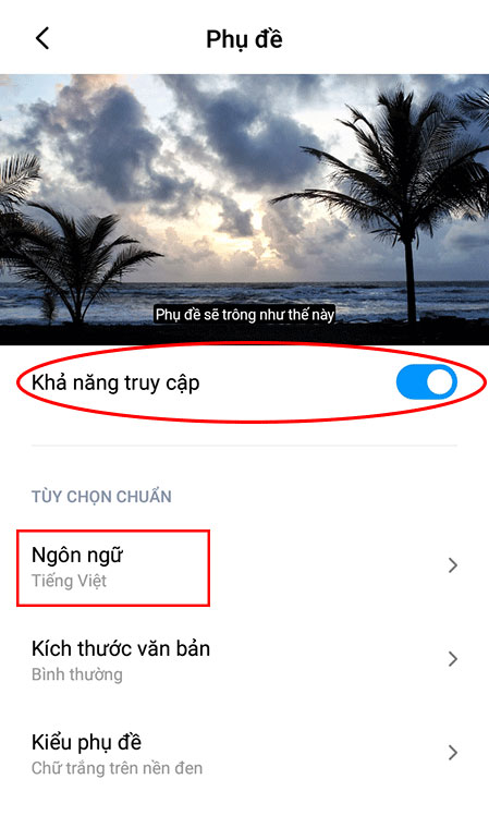Hướng dẫn bật tính năng phụ đề tự động của Google trên điện thoại