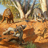 Khí hậu cực đoan làm tuyệt chủng hệ động vật khổng lồ ở Úc và New Guinea