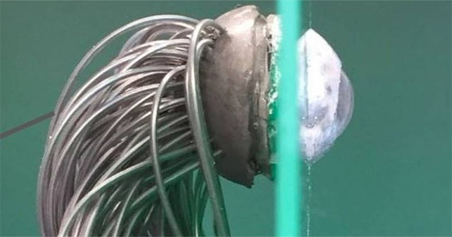Chế tạo thành công đôi mắt sinh học