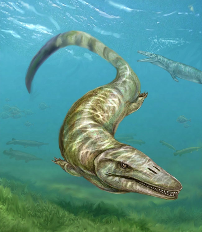 Pannoniasaurus: Quái vật dài 6 mét ở vùng nước ngọt của Hungary