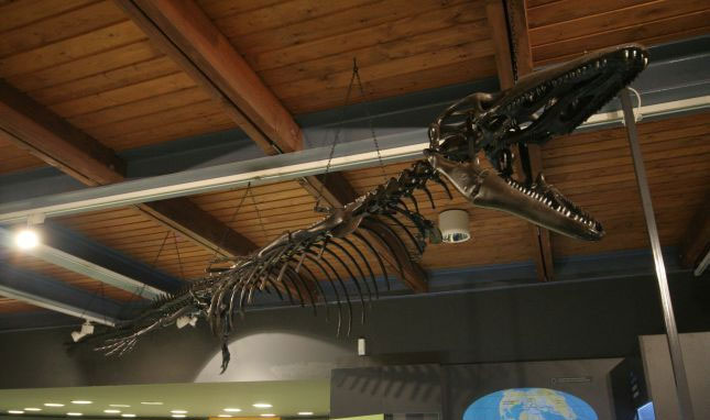 Pannoniasaurus: Quái vật dài 6 mét ở vùng nước ngọt của Hungary