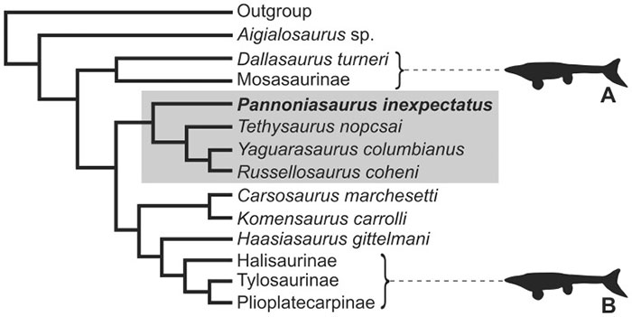 Pannoniasaurus: Quái vật dài 6 mét ở vùng nước ngọt của Hungary