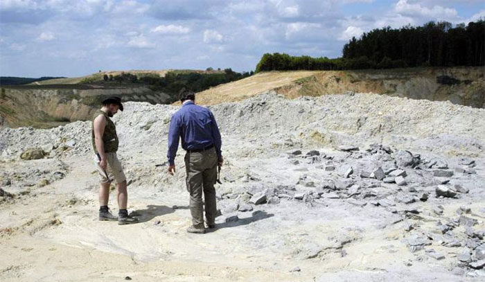 Pannoniasaurus: Quái vật dài 6 mét ở vùng nước ngọt của Hungary
