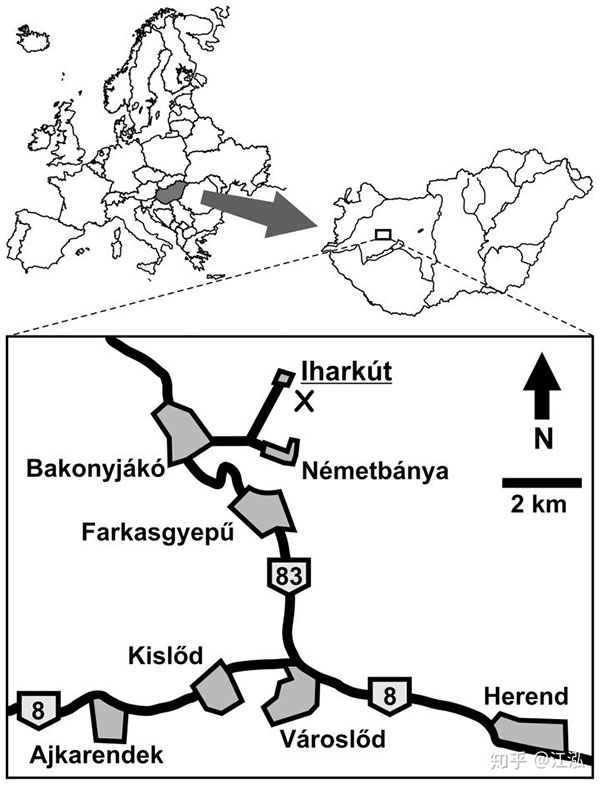 Pannoniasaurus: Quái vật dài 6 mét ở vùng nước ngọt của Hungary
