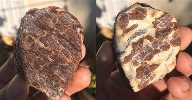 Thiên nhiên đã “lừa” con người ngoạn mục thế nào?