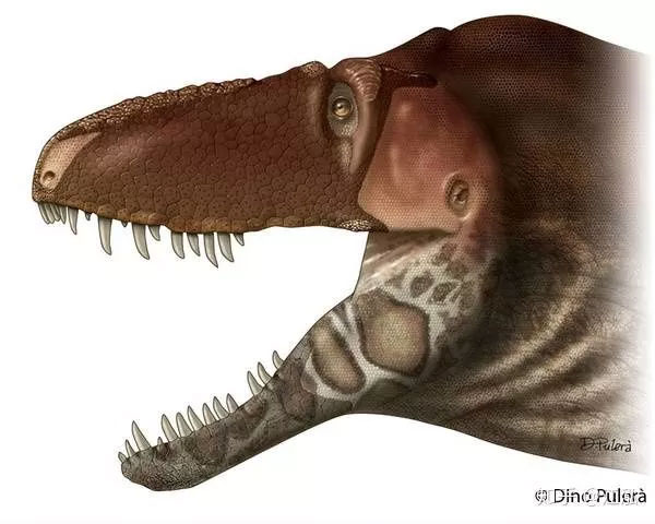 Khủng long bạo chúa Tyrannosaurus dựa vào giác quan thứ sáu để 