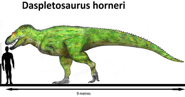 Khủng long bạo chúa Tyrannosaurus dựa vào giác quan thứ sáu để "yêu"?