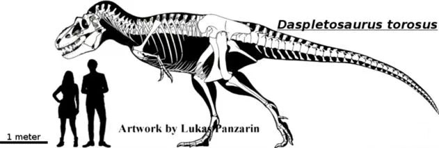 Khủng long bạo chúa Tyrannosaurus dựa vào giác quan thứ sáu để 
