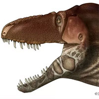 Khủng long bạo chúa Tyrannosaurus dựa vào giác quan thứ sáu để "yêu"?