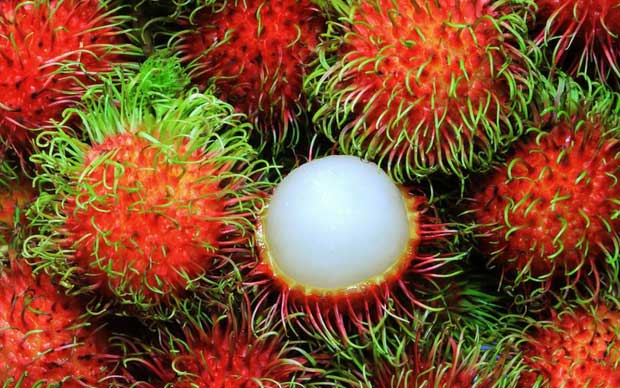 7 loại quả là “đặc sản” của mùa hè và những lưu ý cực quan trọng khi ăn