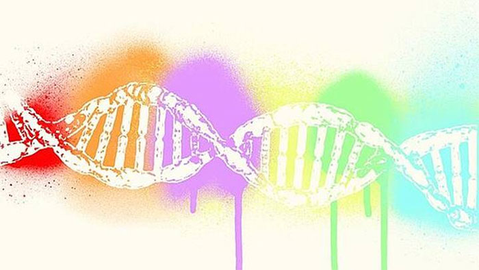 Tại sao máu khô lại được chọn để tách chiết ADN?