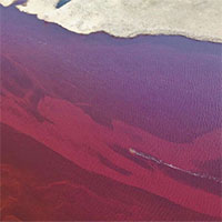 Sự thật đau lòng đằng sau hình ảnh dòng sông Bắc Cực nhuộm đỏ như máu