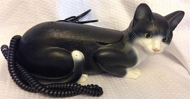 Biến mèo thành điện thoại, sự thật khó tin nhưng có thật trong lịch sử