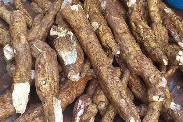 Bột sắn dây có tác dụng gì?