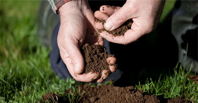 Lấy "đất nghĩa địa" để dưới gối hay bôi vào vết thương sẽ lành bệnh?