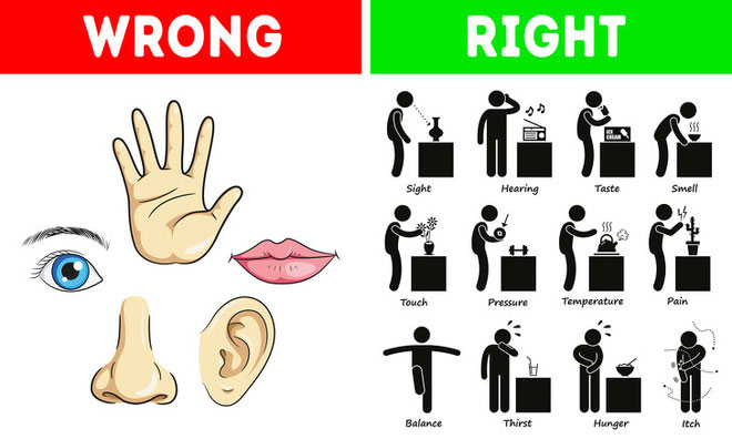 8 quan niệm sai lầm ăn sâu vào ý thức của nhân loại, thậm chí được đưa vào sách giáo khoa